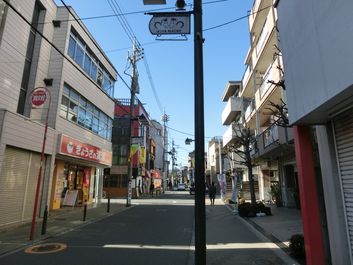 How to Buy from Japan in the USA: Shipping, Customs & Import Fees Explained