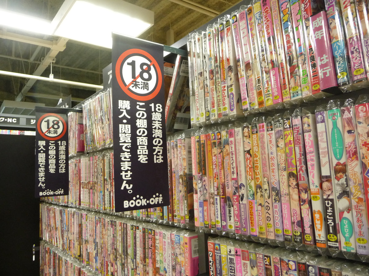 How to Buy Japanese Anime Figures: Authenticity and Condition Checklist