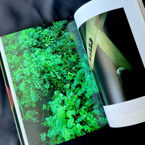 Hobbies, Sports Practical Guides Seiichi Nomura Leica