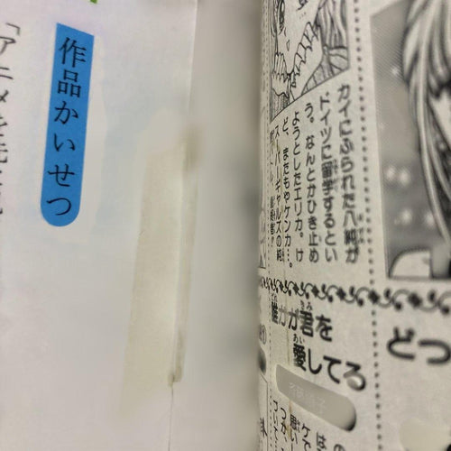 Sh Jo Manga