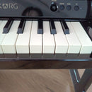 Korg Keyboards Digital Pianos Tinypiano