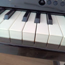 Korg Keyboards Digital Pianos Tinypiano