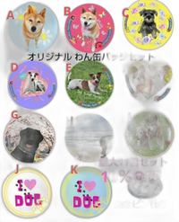 Pins, Pin Badges, Can 11 10