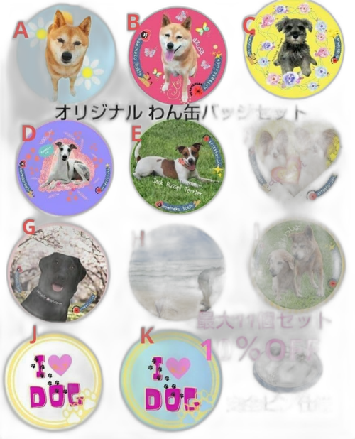 Pins, Pin Badges, Can 11 10