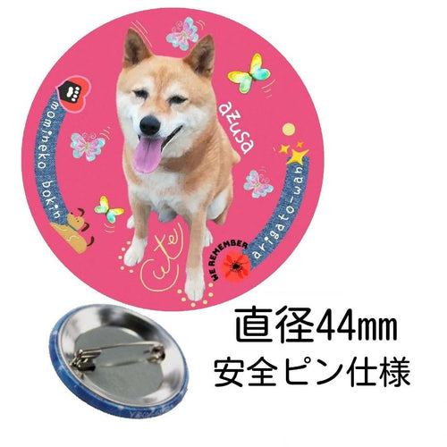 Pins, Pin Badges, Can 11 10