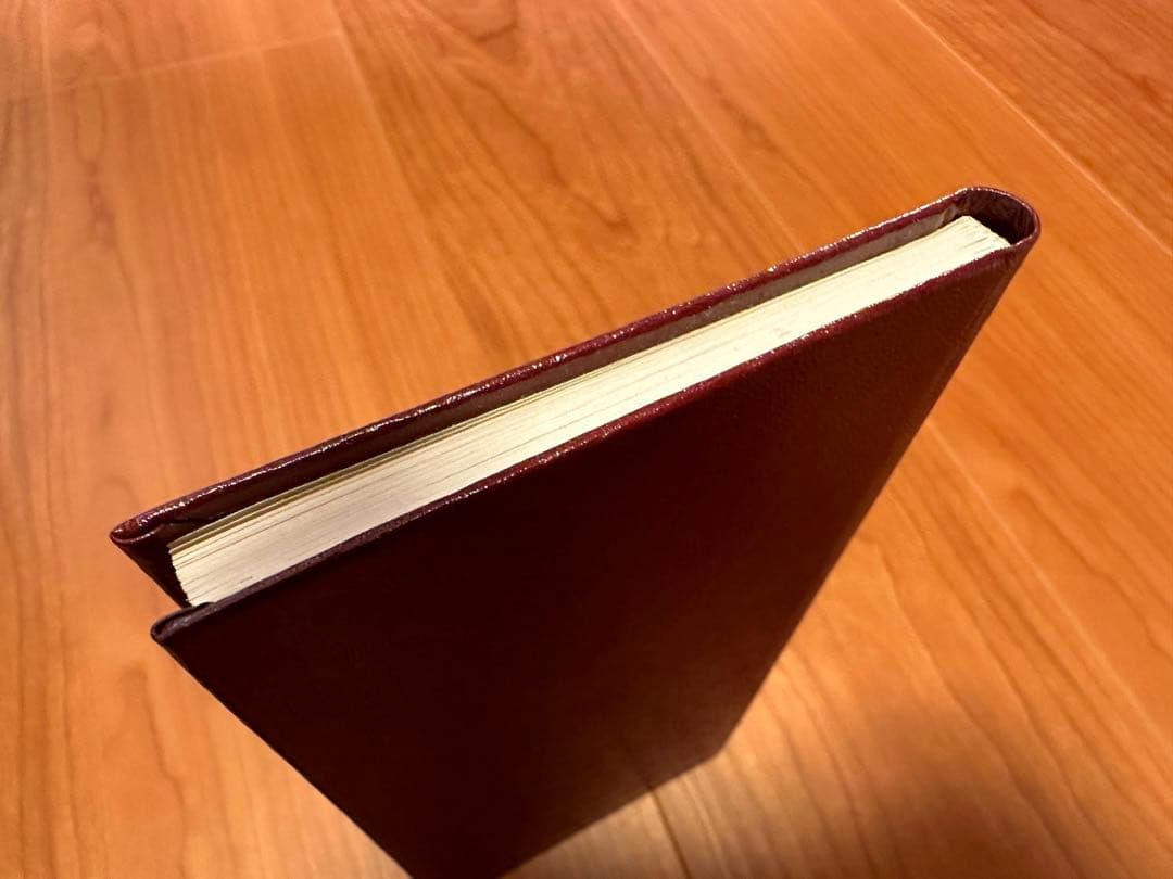 Leica Compact Cameras (Film) Pocket Book