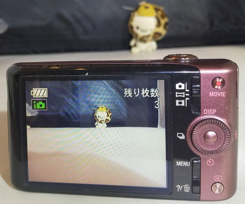 Sony Compact Digital Cameras Cyber-Shot Dsc-Wx100 18.2Mp