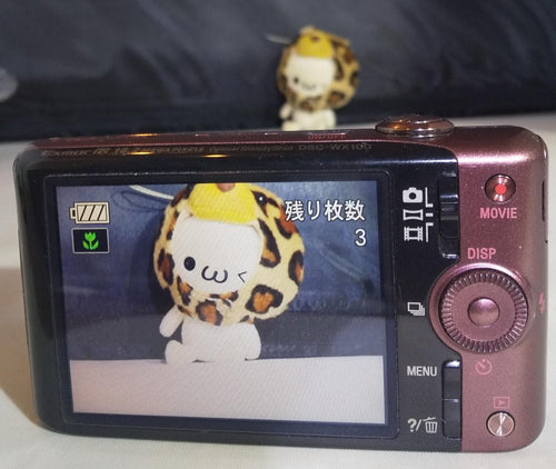 Sony Compact Digital Cameras Cyber-Shot Dsc-Wx100 18.2Mp