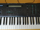 Yamaha Other V50