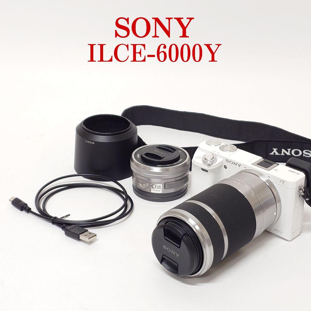 Sony Mirrorless Interchangeable Lips Ilce-6000Y