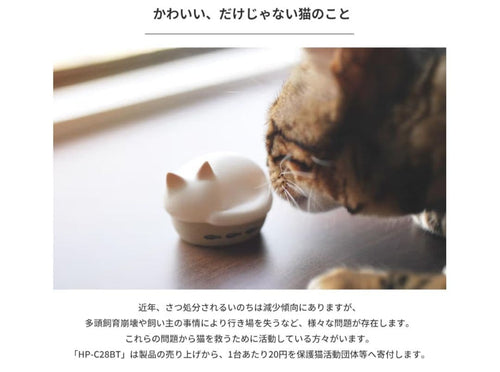Radius Wireless Earphones Neko True