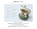 Radius Wireless Earphones Neko True