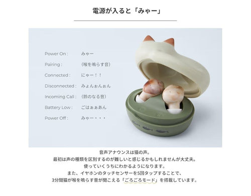 Radius Wireless Earphones Neko True