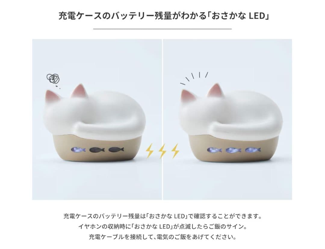 Radius Wireless Earphones Neko True
