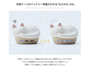 Radius Wireless Earphones Neko True