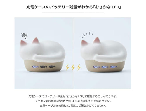 Radius Wireless Earphones Neko True