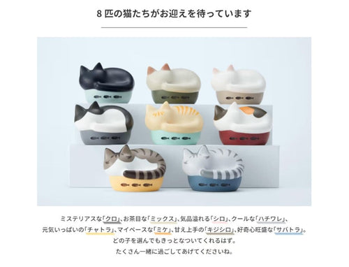 Radius Wireless Earphones Neko True