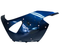 Cowl Fender Zz-R1400 Zx-14 Abs Zxt40A 2929-N3567