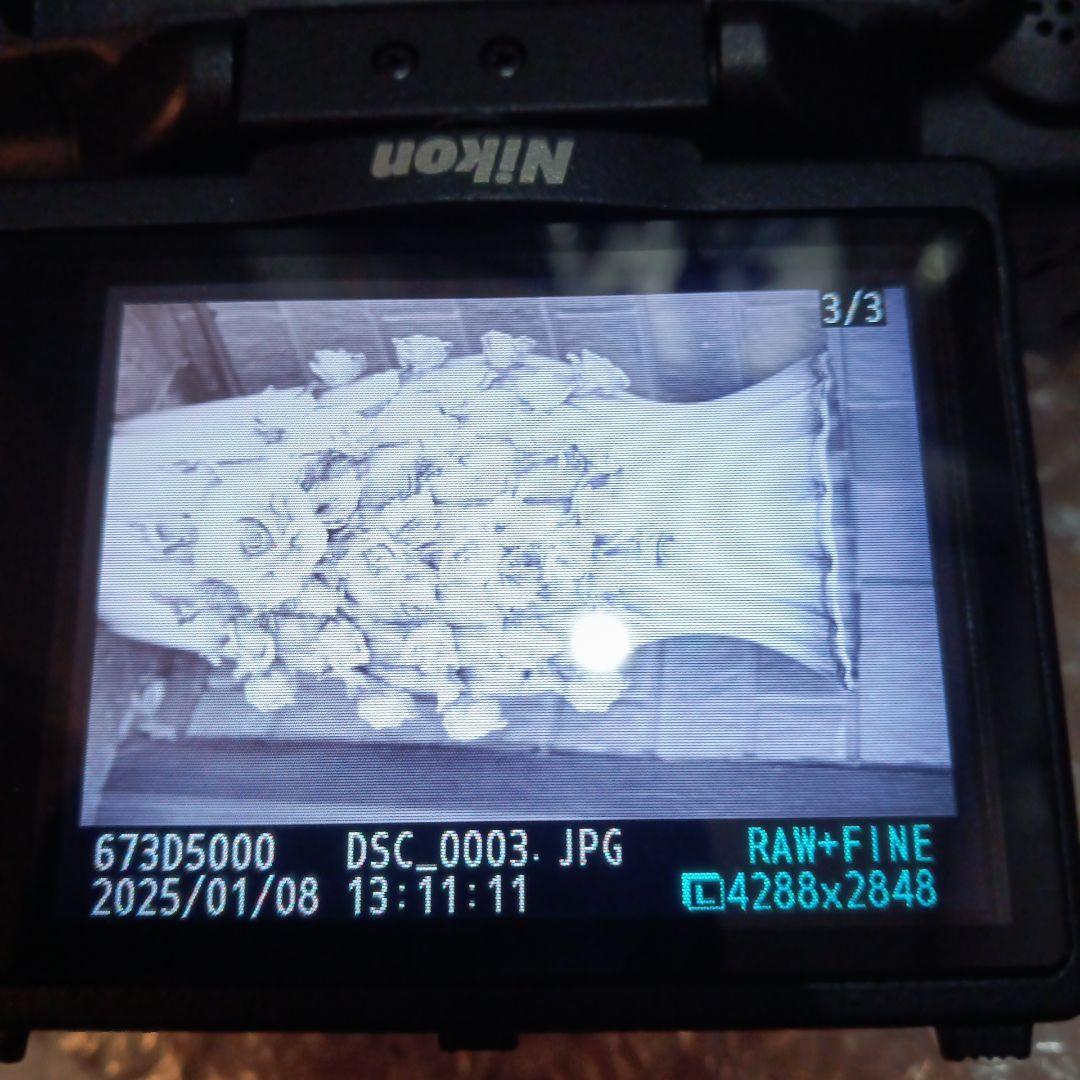 Nikon Digital Slr D5000