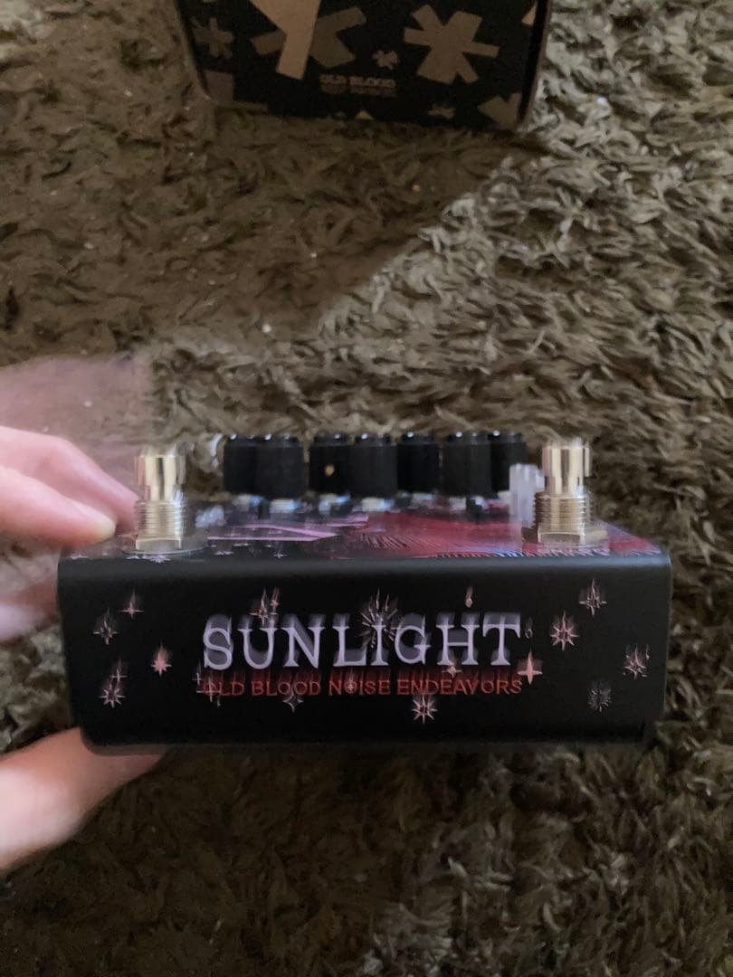 Electric Guitar Old Blood Noise Endeavors Sunlight