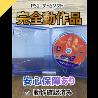 Playstation2 Soft Ok Ps2 Fighting Evolution3 0420-620