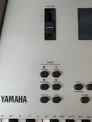 Yamaha Other Eos B900