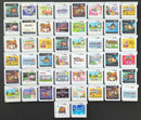 Software (Package Version) 3Ds 50