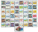 Software (Package Version) 3Ds 50