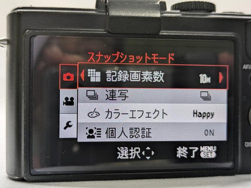 Leica Compact Digital Cameras D-Lux5 #464