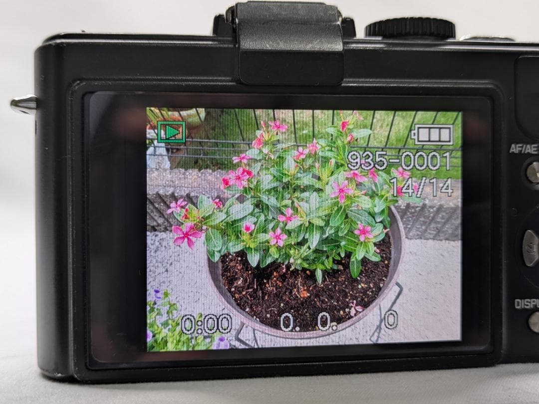 Leica Compact Digital Cameras D-Lux5 #464