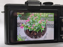 Leica Compact Digital Cameras D-Lux5 #464