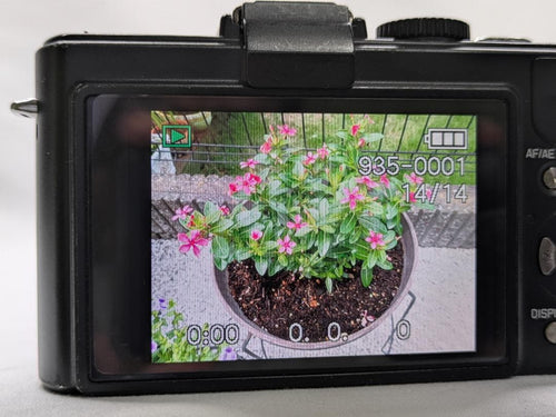 Leica Compact Digital Cameras D-Lux5 #464