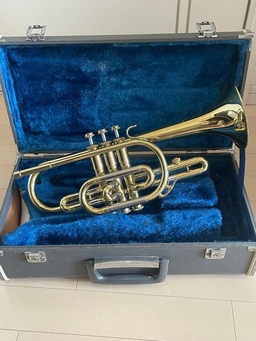 Yamaha Cornets Cr-231