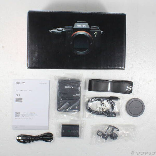 Sony Mirrorless Interchangeable Lips 1 258