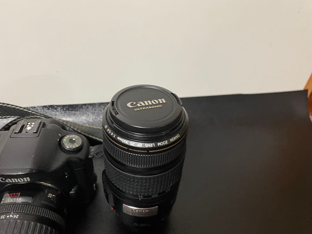 Other Canon Eos 10D Ef75-300Mm Lens Ef 24-85Mm