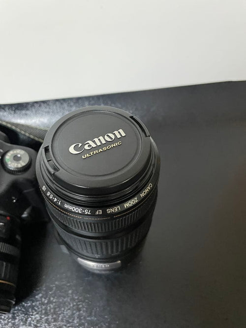 Other Canon Eos 10D Ef75-300Mm Lens Ef 24-85Mm