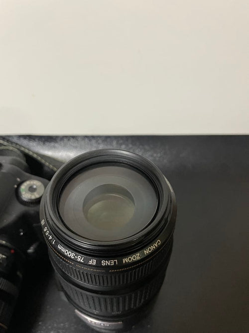 Other Canon Eos 10D Ef75-300Mm Lens Ef 24-85Mm