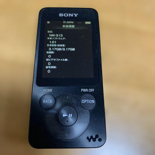 Sony Digital Audio Players Nw S13 4Gb