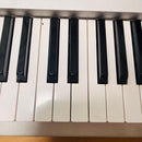 Korg Other Triton Pro X 88