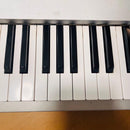 Korg Other Triton Pro X 88