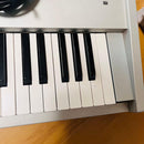 Korg Other Triton Pro X 88