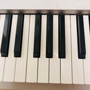 Korg Other Triton Pro X 88