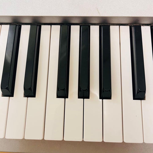 Korg Other Triton Pro X 88