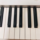 Korg Other Triton Pro X 88