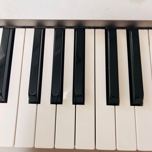 Korg Other Triton Pro X 88