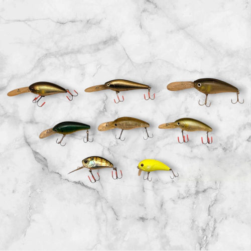 Jackall Crankbait 8