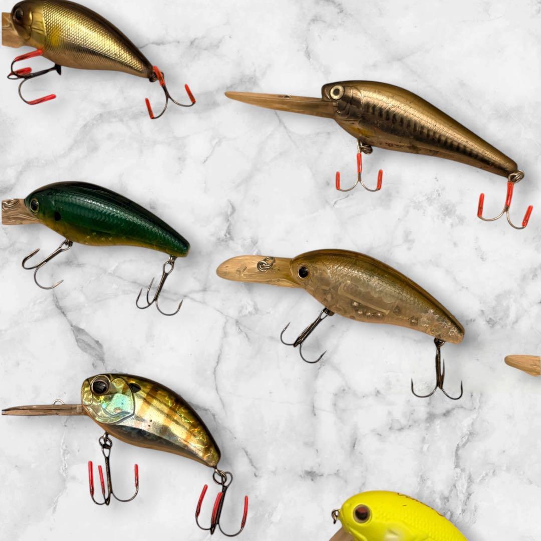 Jackall Crankbait 8