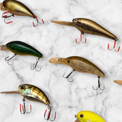 Jackall Crankbait 8