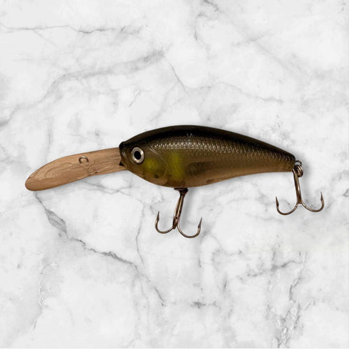 Jackall Crankbait 8