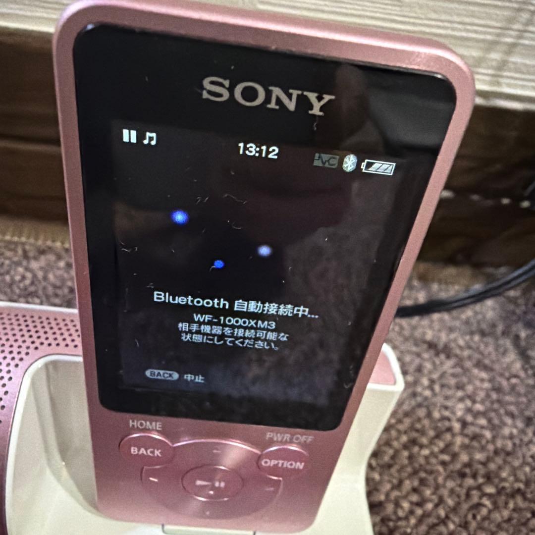 Sony Digital Audio Players